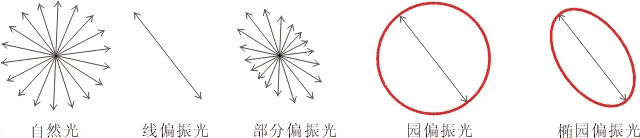什么是偏振光？偏振光是如何完成檢測的？