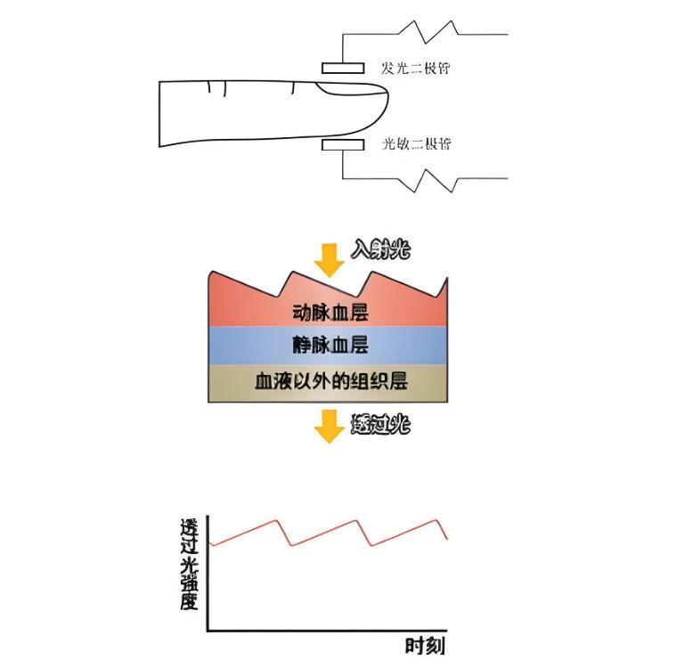 脈搏血氧儀簡介與光學(xué)原理< 脈搏血氧儀簡介與光學(xué)原理<