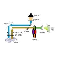什么是熒光定量PCR、數(shù)字PCR？