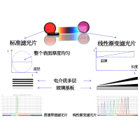 線性漸變?yōu)V光片是什么？有何特點(diǎn)？