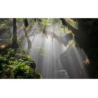 光的干涉、衍射、折射、反射、散射
